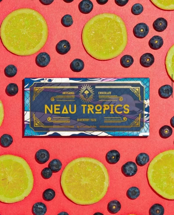 Neau Tropics Blueberry Yuzu 6g Chocolate