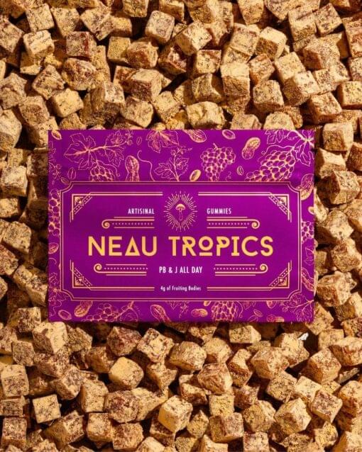 Neau Tropics PB & J All Day 4g Gummies